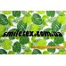 Ткань  Коттон Бэби 6305